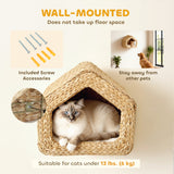 Cat Wall Shelf