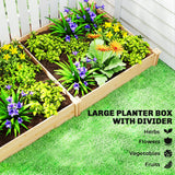 Wooden Raised Garden Bed, Outdoor Planter Box with Divider and Open Bottom for Flowers