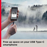 SanDisk 256GB Ultra Dual Drive Go USB Type-C Flash Drive, Black - SDDD