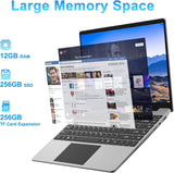 DELL SPL DELL PRO 13 PREMIUM PA13250 CORE_ULTRA_7-266V 16 GB 512GBSSD 13.3IN FHD+NON-TOUCH RGBCAMERA INTEGRATED FGRPR 3CELL 65W VPRO BACKLIT KB