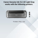 Canon Genuine Canon CLI-42 Ink Cartridge, Light Grey