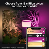 Philips Hue Calla Outdoor Smart Pathway Light, 1 Pack, White & Color A