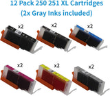 12-Pack PGI-250XL CLI-251XL Ink Cartridge Replacement for Canon 250 25