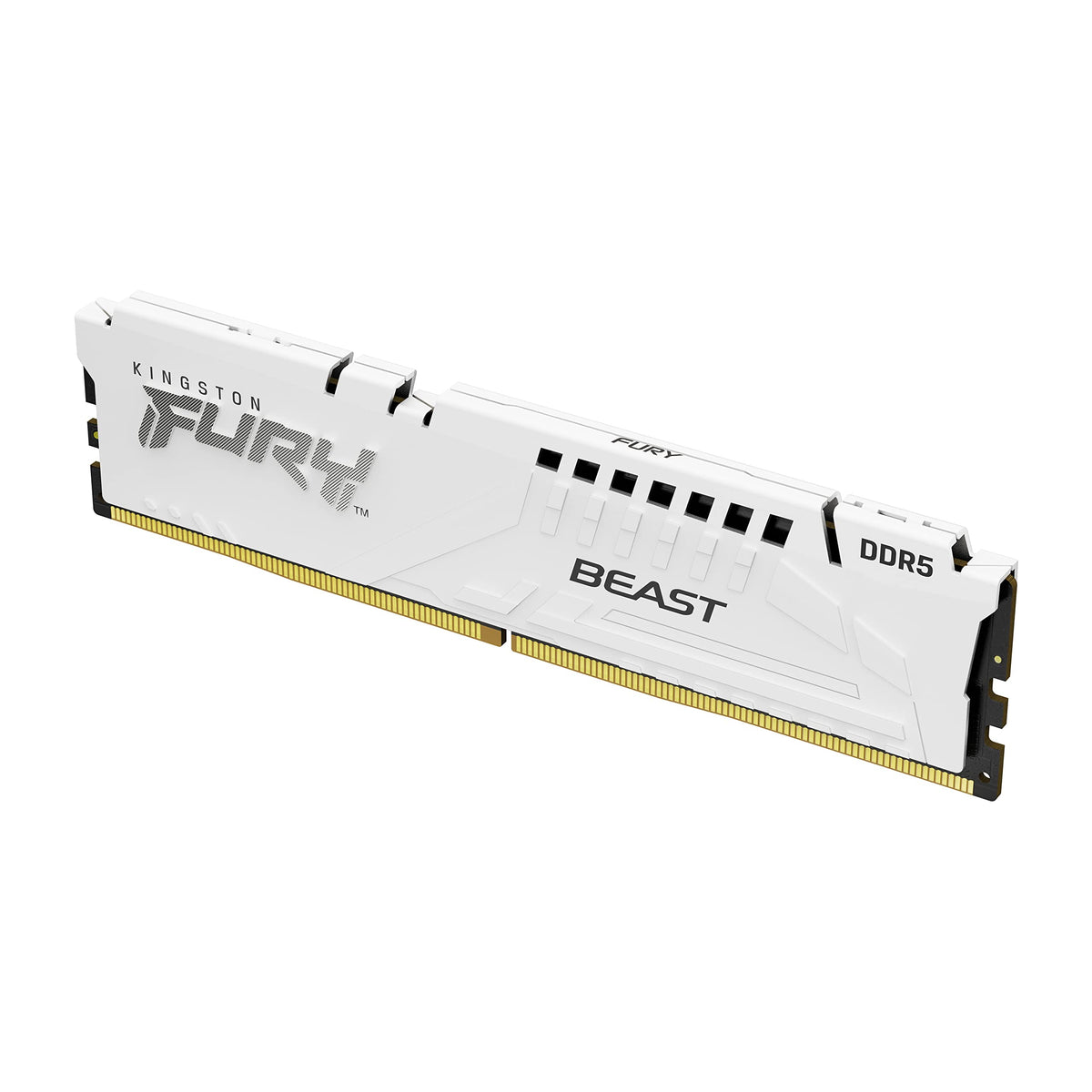Kingston KF556C36BWEK2-64 64 Go de mémoire DDR5 5600MT/S