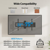 MEET UP TV Mount
