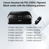 Canon PGI-250XL Black Ink Tank