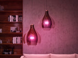 Philips Hue White and Colour Ambiance 10.5W Equivalent 75W A19 Base E2