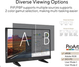 ASUS ProArt Display 15.6” 4K HDR SDI Professional Monitor (PA16USV) –