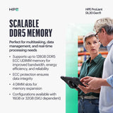 HPE DL20 G11 E243416G 2LFF Svr