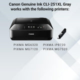 Canon Genuine CLI-251XL Grey Ink Tank