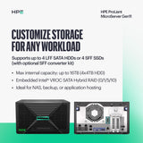 Hewlett Packard Enterprise ProLiant MicroServer Gen11 Tower Server, In