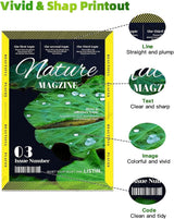 Cartouches d'encre compatibles NEXTPAGE de remplacement pour Canon CLI42, ensemble de 8