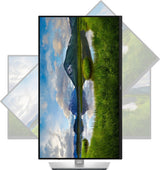 Dell Pro 24 Plus Monitor P2425D