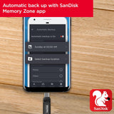 SanDisk 64GB Ultra Dual Drive Go USB Type-C Flash Drive, Black - SDDDC