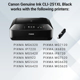 Cartouche d'encre noire Canon CLI-251XL