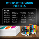 Smart Ink Compatible Ink Cartridge Replacement for Canon 280 281 PGI-2