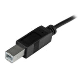 StarTech.com USB C to USB B Printer Cable - 3 ft / 1m - USB C Printer