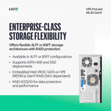 Hewlett Packard Enterprise ProLiant ML30 Gen11 Tower Server w/one Inte