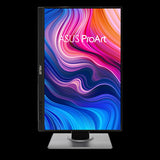 Moniteur ASUS ProArt PA248QV 61,2 cm (24,1