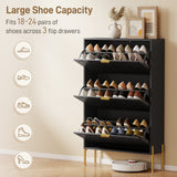 Shoe Cabinet with