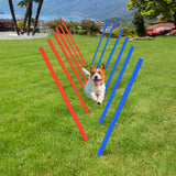 Dog Agility Equipment Set
