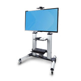 Rolling TV Cart/Portable Mount