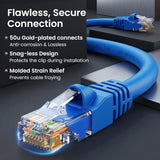 100FT CAT6 ETHERNET CABLE BLUE CAT 6 POE