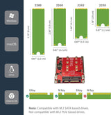 StarTech M.2 to SATA Adapter for M.2 SATA SSDs, Dual Slot M2 Drive Hos