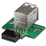 StarTech.com Adaptateur à 2 ports pour cartes mères - USB - adaptateur USB - USB