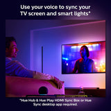 Philips HUE White & Color Ambiance Play Gradient Light Tube Compact, C