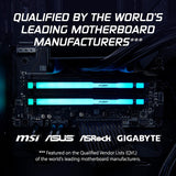 Mémoire de bureau Kingston Fury Beast RGB 16 Go 5600 MT/s DDR5 CL36 (un module)