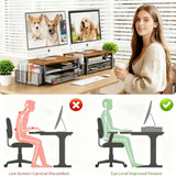 Basic Monitor Stand