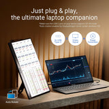 ASUS ZenScreen 15.6” Portable Monitor for Laptop (MB169CK) - Dual USB-