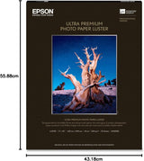 Epson Ultra Premium Photo Paper Luster 17in X 22in