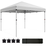 10' x 10' Pop Up Canopy with Sidewalls, Height Adjustable Instant Tent for Outdoor