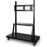 ViewSonic VB-STND-001 Mobile Display Mount for 98