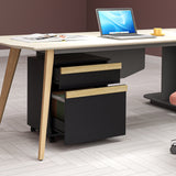 Mobile Filing Cabinet with 2 Drawers, Office Storage Cabinet with 5 Wheels