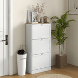 Modern Shoe Storage