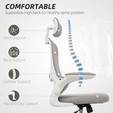 Ergonomic Mesh Office Chair, High Back Desk Chair with Rotatable Headrest, Lumbar Support