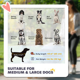 Poussette pour animaux pliable avec roues avant universelles, voiture pour chats et chiens de grande et moyenne taille