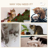 5Pcs étagères murales pour chats avec hamac