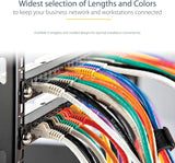 StarTech.com Câble de raccordement RJ45 UTP Gigabit Cat6 moulé bleu C6PATCH100BL