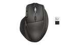 HP Ultra-Fast-Scroll Wireless Mouse 785M