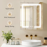 Bathroom Medicine Cabinet with Lights, Adjustable Shelves