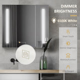 LED Medicine Cabinet with Mirror and Lights, 27.5