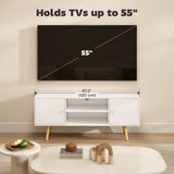 TV Stand Cabinet for TVs up to 55 Inches, Entertainment Unit with Storage Shelves and Wood Legs for Living Room