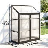 Polycarbonate Greenhouse with 2-Tier Shelves Gardening Green House for Patio Garden