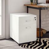 2 Drawer File Cabinet with Lock and Keys, Mobile Vertical Filing Cabinet with Wheels and Drawers
