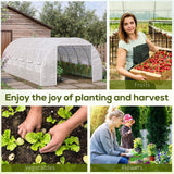 20'x10'x6.6' Tunnel Greenhouse with UV-Resistant Cover, Zippered Door and 12 Roll-up Windows