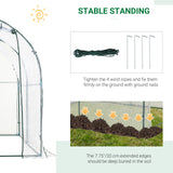 Dome Tunnel Greenhouse Plant Shed with Roll Up Door, 6.6' x 8.2' x 6.6'